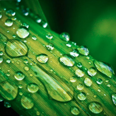 Media for Environment